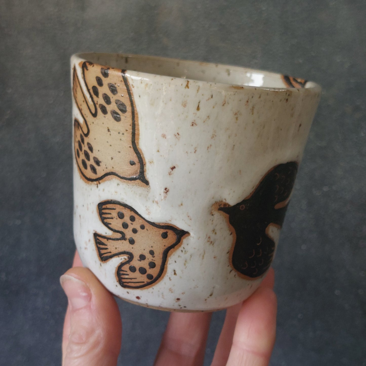 Becher, Vögel