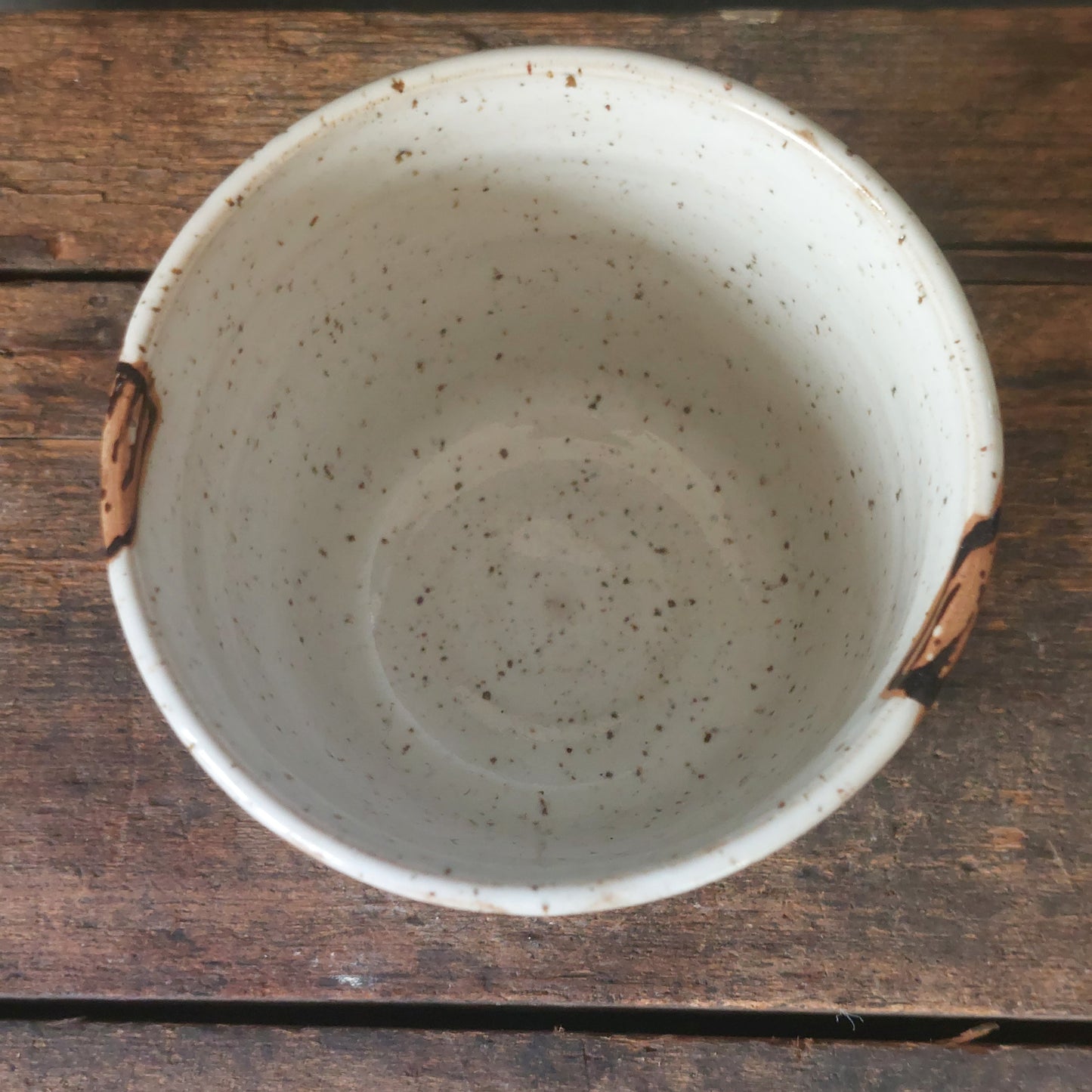 Becher, Vögel